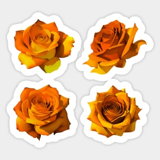 Roses watercolor Sticker